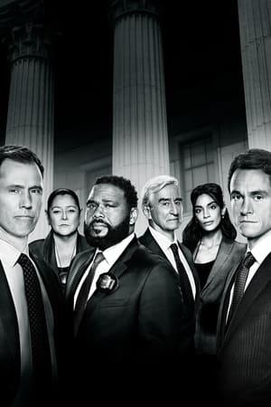 Law & Order, Season 20 poster 2