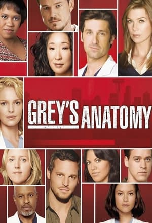Grey's Anatomy, Season 4 poster 1