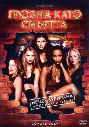 Coyote Ugly poster 4