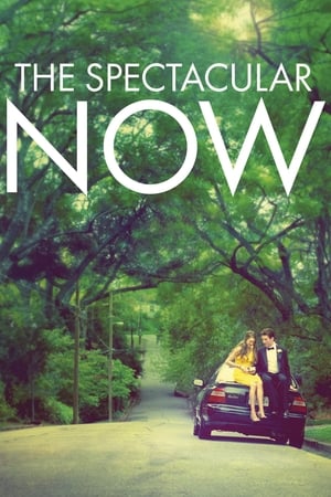 The Spectacular Now poster 4