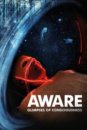 Aware: Glimpses of Consciousness poster 2