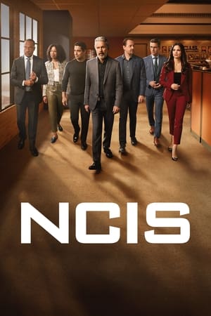 NCIS, Season 4 poster 2