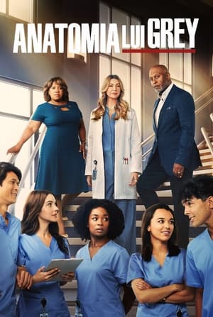 Grey's Anatomy, Season 13 poster 2