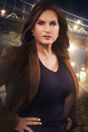 Law & Order: SVU (Special Victims Unit), Season 7 poster 1