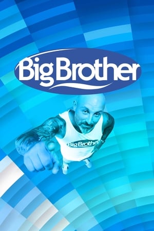 Big Brother, Season 24 poster 1