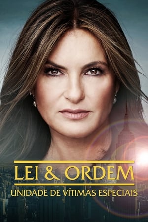 Law & Order: SVU (Special Victims Unit), Season 10 poster 1