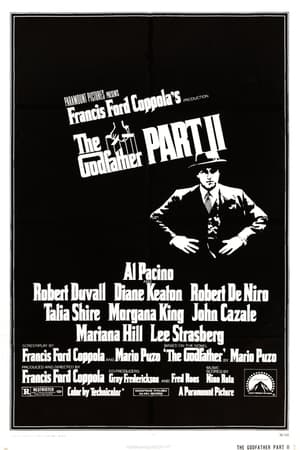 The Godfather Part II poster 1