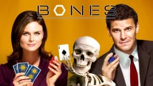 Bones, The Complete Series image 2