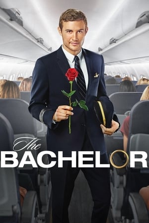 The Bachelor, Season 28 poster 1