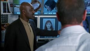 Law & Order: SVU (Special Victims Unit), Season 10 - Baggage image