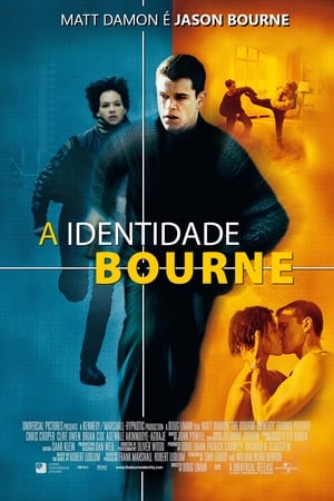 The Bourne Identity poster 3