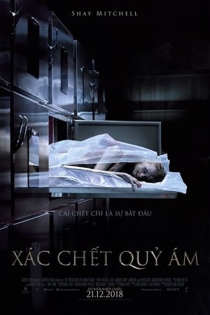 Grace: The Possession poster 4