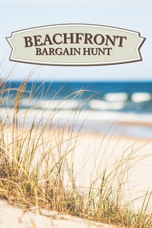 Beachfront Bargain Hunt, Season 30 poster 0