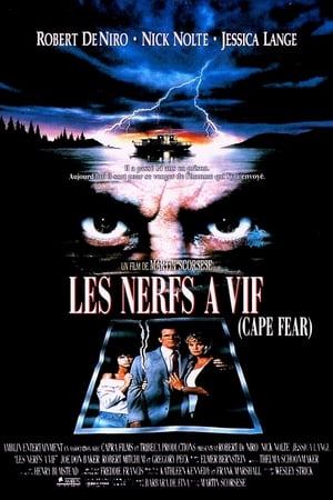 Cape Fear (1991) poster 1