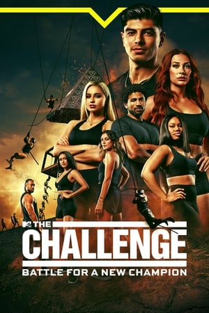 The Challenge: All Stars, Season 1 poster 3