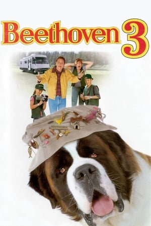 Beethoven's 3rd poster 3