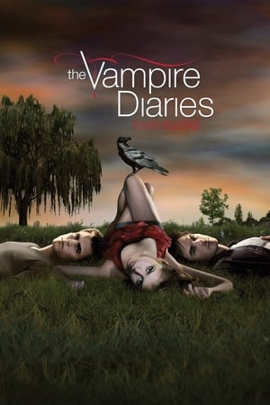 The Vampire Diaries, Season 7 poster 3