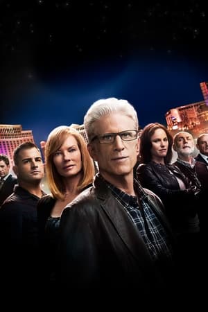 CSI: Crime Scene Investigation, Season 10 poster 2