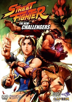 Street Fighter: The New Challengers poster 2