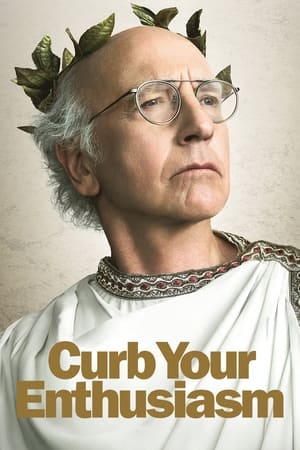 Curb Your Enthusiasm, Best of Larry poster 2