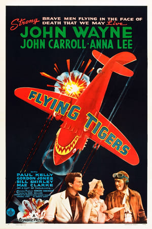 Flying Tigers poster 4