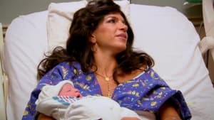 The Real Housewives of New Jersey, Season 2 - Babies, Bubbles and Bubbies image