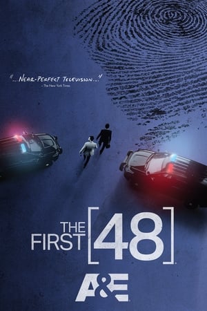 The First 48, Vol. 14 poster 2