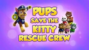 PAW Patrol, Vol. 5 - Pups Save the Kitty Rescue Crew image