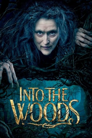 Into the Woods (2014) poster 2