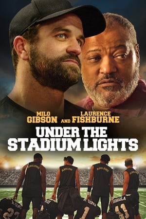 Under The Stadium Lights poster 3
