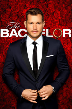 The Bachelor, Season 26 poster 0