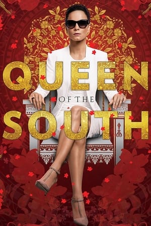 Queen of the South, Seasons 1-4 poster 2