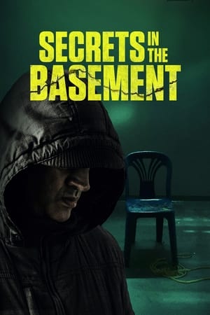 Secrets in the Basement poster 2