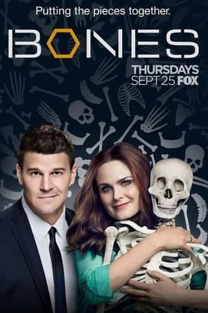 Bones, Season 9 poster 1