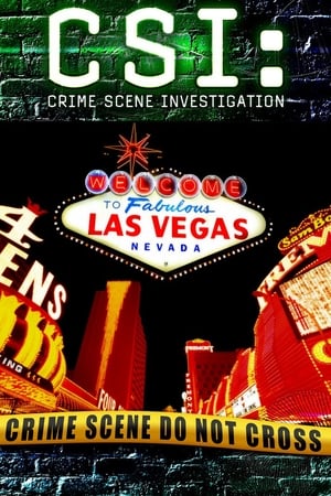 CSI: Crime Scene Investigation, Season 7 poster 2