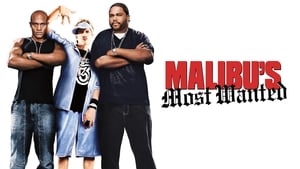 Malibu's Most Wanted image 4