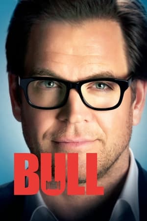 Bull: The Complete Series poster 2