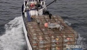 Deadliest Catch, Season 3 - The Unforgiving Sea image