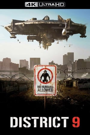 District 9 poster 2