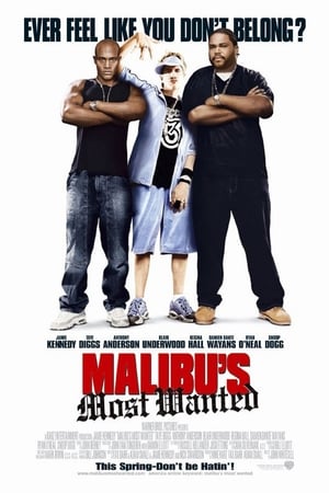 Malibu's Most Wanted poster 3