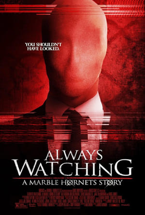 Always Watching: A Marble Hornets Story poster 1