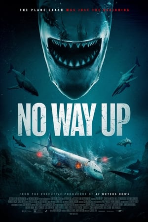 No Way Up poster 1