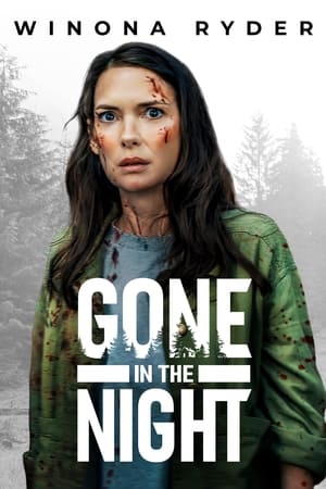 Gone in the Night poster 4