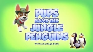 PAW Patrol, Vol. 6 - Pups Save the Jungle Penguins image