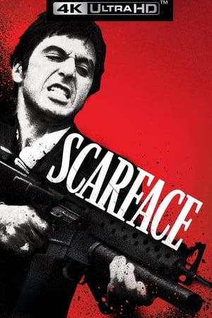 Scarface (1983) poster 1