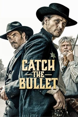 Catch the Bullet poster 4