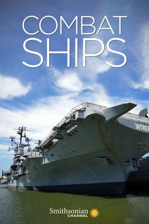 Combat Ships, Season 1 poster 3