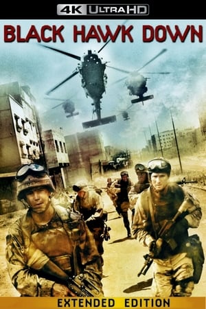 Black Hawk Down poster 3