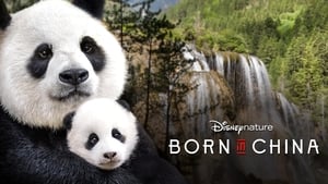 Disneynature: Born In China image 7