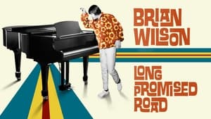Brian Wilson: Long Promised Road image 1